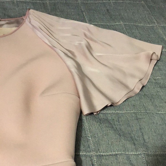 Roksanda beautiful pink dress w/ fluttery sleeves - Picture 2 of 8